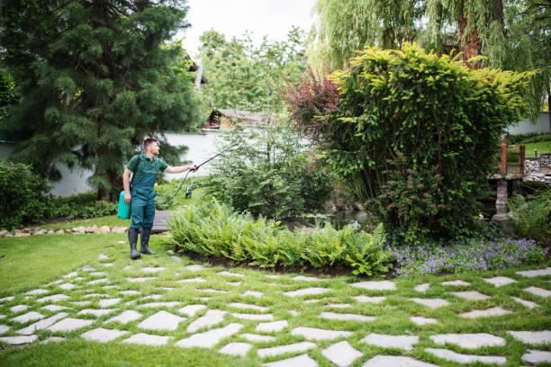 Trusted Childersburg, AL Pest Control Experts