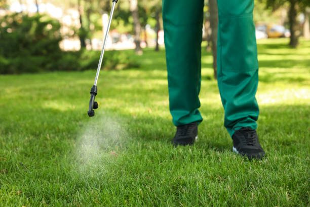 Best Pest Inspection Near Me  in Childersburg, AL