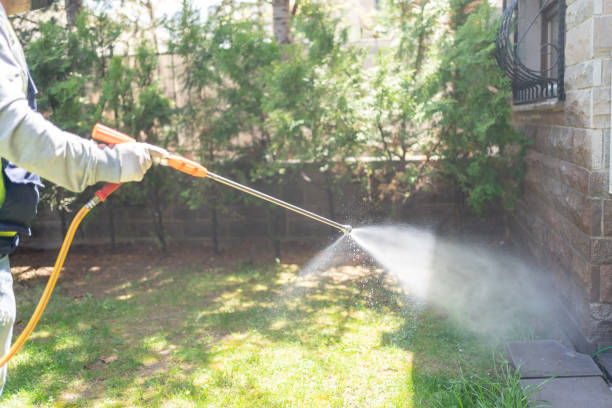 Best Best Pest Control Companies  in Childersburg, AL