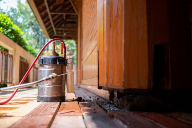 Best Best Pest Control Companies  in Childersburg, AL