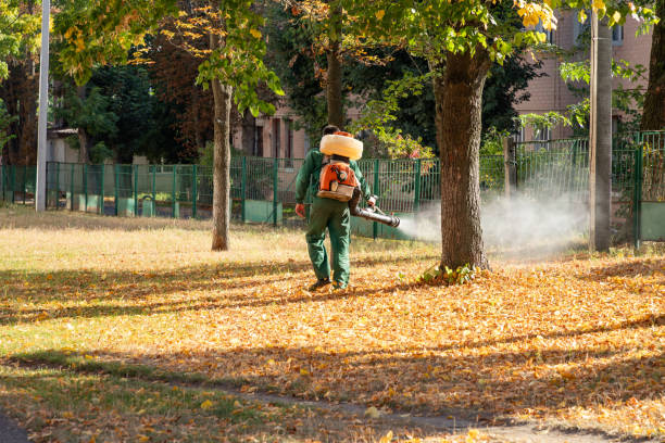 Best Mosquito Control Services  in Childersburg, AL