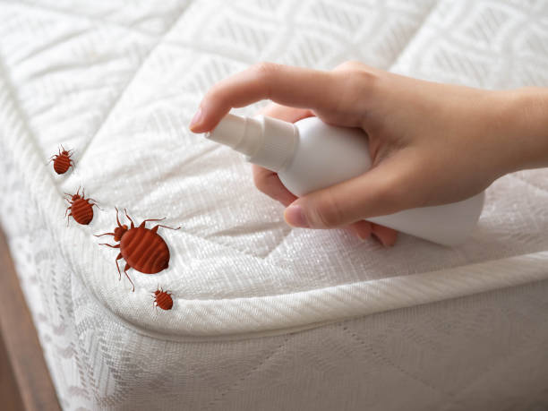 Best Commercial Pest Control Services  in Childersburg, AL
