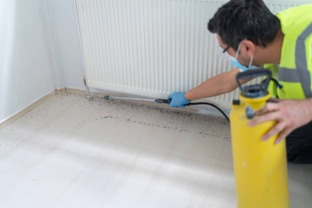 Best Best Pest Control Companies  in Childersburg, AL